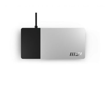 DOCKING STATION II MSI